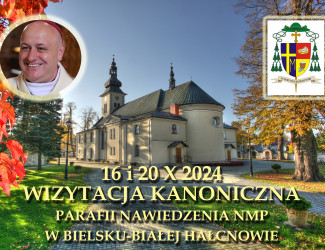 Wizytacja 